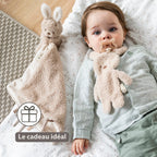 TEDDY Attache-tétine doudou bébé - Lapin doudou porte-sucette