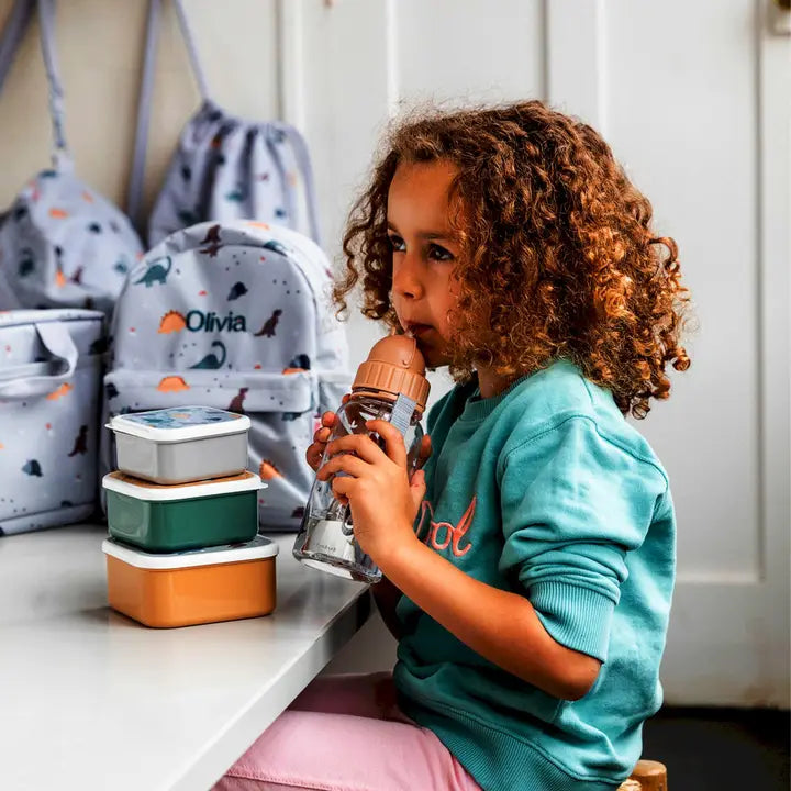 Bouteille en plastique Tritan Dinos World